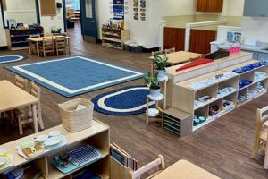 Best Apple Montessori in East Windsor, NJ | What Is Montessori? A Complete Guide to the Montessori Education Method