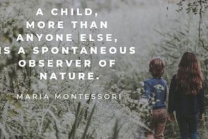 Inspiring Montessori Quotes on Nature's Wisdom | What Is Montessori? A Complete Guide to the Montessori Education Method
