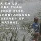 Inspiring Montessori Quotes on Nature's Wisdom | What Is Montessori? A Complete Guide to the Montessori Education Method