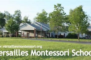 Best Versailles Montessori School: A Parent's Guide What Is Montessori? A Complete Guide to the Montessori Education Method Best Versailles Montessori School: A Parent's Guide | What Is Montessori? A Complete Guide to the Montessori Education Method