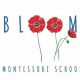 Best Montessori Preschool: Bloom Helena MT | What Is Montessori? A Complete Guide to the Montessori Education Method