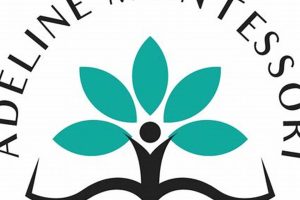 Discover the Adeline Montessori Method Today | What Is Montessori? A Complete Guide to the Montessori Education Method