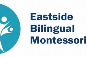 Best Eastside Bilingual Montessori Schools | What Is Montessori? A Complete Guide to the Montessori Education Method
