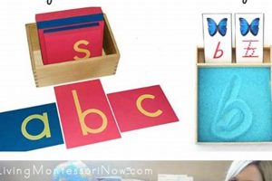 Montessori Letters: What to Teach First? What Is Montessori? A Complete Guide to the Montessori Education Method Montessori Letters: What to Teach First? | What Is Montessori? A Complete Guide to the Montessori Education Method