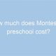 Average Montessori Cost Per Month: A Parent's Guide | What Is Montessori? A Complete Guide to the Montessori Education Method