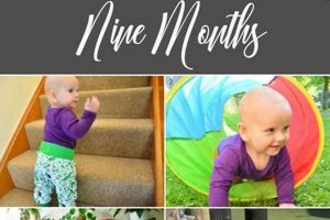 Best Montessori Activities for 9-Month-Olds What Is Montessori? A Complete Guide to the Montessori Education Method Best Montessori Activities for 9-Month-Olds | What Is Montessori? A Complete Guide to the Montessori Education Method