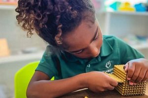 Ignite Learning: SteamSpark Montessori Education | What Is Montessori? A Complete Guide to the Montessori Education Method