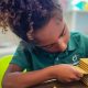 Ignite Learning: SteamSpark Montessori Education | What Is Montessori? A Complete Guide to the Montessori Education Method