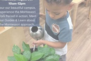 Best Guidepost Montessori at Laurel Oak School What Is Montessori? A Complete Guide to the Montessori Education Method Best Guidepost Montessori at Laurel Oak School | What Is Montessori? A Complete Guide to the Montessori Education Method