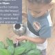 Best Guidepost Montessori at Laurel Oak School | What Is Montessori? A Complete Guide to the Montessori Education Method
