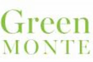 Thriving Green Tree Montessori School & Daycare | What Is Montessori? A Complete Guide to the Montessori Education Method