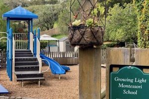 Best Growing Light Montessori in Oakland CA What Is Montessori? A Complete Guide to the Montessori Education Method Best Growing Light Montessori in Oakland CA | What Is Montessori? A Complete Guide to the Montessori Education Method