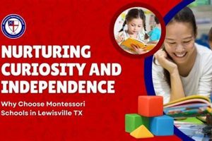 Best Lewisville Montessori Schools & Programs | What Is Montessori? A Complete Guide to the Montessori Education Method