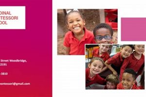 Best Cardinal Montessori School: Guide & Tips What Is Montessori? A Complete Guide to the Montessori Education Method Best Cardinal Montessori School: Guide & Tips | What Is Montessori? A Complete Guide to the Montessori Education Method