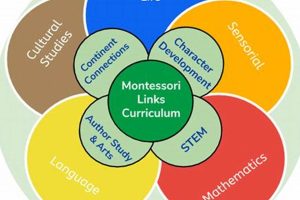 The Ultimate Guide to Montessori Curriculum: A Deep Dive | What Is Montessori? A Complete Guide to the Montessori Education Method