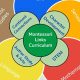 The Ultimate Guide to Montessori Curriculum: A Deep Dive | What Is Montessori? A Complete Guide to the Montessori Education Method