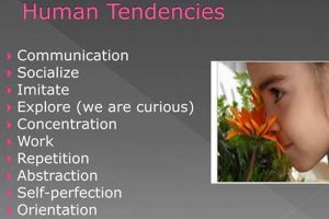 Understanding Montessori Human Tendencies in Child Development | What Is Montessori? A Complete Guide to the Montessori Education Method