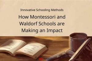 Montessori And Waldorf Schools What Is Montessori? A Complete Guide to the Montessori Education Method Montessori And Waldorf Schools | What Is Montessori? A Complete Guide to the Montessori Education Method