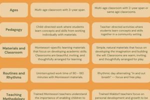 Best Waldorf vs. Montessori: Choosing Wisely What Is Montessori? A Complete Guide to the Montessori Education Method Best Waldorf vs. Montessori: Choosing Wisely | What Is Montessori? A Complete Guide to the Montessori Education Method