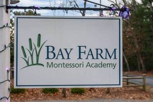 Discover Bay Farm Montessori Academy: Nurturing Growth What Is Montessori? A Complete Guide to the Montessori Education Method Discover Bay Farm Montessori Academy: Nurturing Growth | What Is Montessori? A Complete Guide to the Montessori Education Method