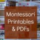 Free Printable Montessori Activities & Worksheets | What Is Montessori? A Complete Guide to the Montessori Education Method