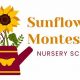 Best Sunflower Montessori & Daycare | Top Rated | What Is Montessori? A Complete Guide to the Montessori Education Method