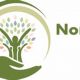 Best Northwest Montessori Schools & Programs | What Is Montessori? A Complete Guide to the Montessori Education Method