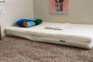 Top 5 Montessori Floor Bed Benefits for Toddlers What Is Montessori? A Complete Guide to the Montessori Education Method Top 5 Montessori Floor Bed Benefits for Toddlers | What Is Montessori? A Complete Guide to the Montessori Education Method