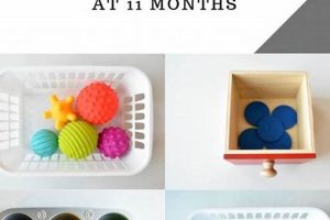 Best Montessori Activities for Your 11-Month-Old What Is Montessori? A Complete Guide to the Montessori Education Method Best Montessori Activities for Your 11-Month-Old | What Is Montessori? A Complete Guide to the Montessori Education Method