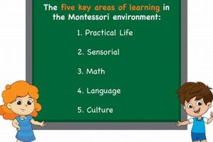 Exploring Montessori's 5 Learning Areas: A Guide What Is Montessori? A Complete Guide to the Montessori Education Method Exploring Montessori's 5 Learning Areas: A Guide | What Is Montessori? A Complete Guide to the Montessori Education Method