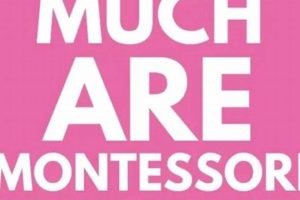 Montessori School Costs: A Full Guide | What Is Montessori? A Complete Guide to the Montessori Education Method