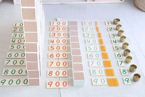 Mastering Decimal Division in Montessori Education What Is Montessori? A Complete Guide to the Montessori Education Method Mastering Decimal Division in Montessori Education | What Is Montessori? A Complete Guide to the Montessori Education Method