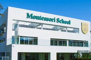 Best Montessori Schools in Florida (2024) What Is Montessori? A Complete Guide to the Montessori Education Method Best Montessori Schools in Florida (2024) | What Is Montessori? A Complete Guide to the Montessori Education Method