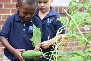 Best Montessori School: Kids Universe North Katy What Is Montessori? A Complete Guide to the Montessori Education Method Best Montessori School: Kids Universe North Katy | What Is Montessori? A Complete Guide to the Montessori Education Method