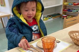 The Best Papillon Montessori Education Guide What Is Montessori? A Complete Guide to the Montessori Education Method The Best Papillon Montessori Education Guide | What Is Montessori? A Complete Guide to the Montessori Education Method