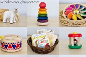 Best Montessori Infant Toys for Learning & Development What Is Montessori? A Complete Guide to the Montessori Education Method Best Montessori Infant Toys for Learning & Development | What Is Montessori? A Complete Guide to the Montessori Education Method