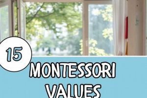 Exploring Core Montessori Values & Principles What Is Montessori? A Complete Guide to the Montessori Education Method Exploring Core Montessori Values & Principles | What Is Montessori? A Complete Guide to the Montessori Education Method