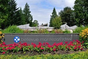 Brookline Montessori What Is Montessori? A Complete Guide to the Montessori Education Method Brookline Montessori | What Is Montessori? A Complete Guide to the Montessori Education Method