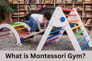 Best Montessori Activity Gym: Guide & Benefits What Is Montessori? A Complete Guide to the Montessori Education Method Best Montessori Activity Gym: Guide & Benefits | What Is Montessori? A Complete Guide to the Montessori Education Method