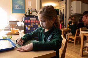 Discover Nardin Montessori Buffalo: Best Montessori School What Is Montessori? A Complete Guide to the Montessori Education Method Discover Nardin Montessori Buffalo: Best Montessori School | What Is Montessori? A Complete Guide to the Montessori Education Method