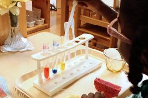Best Birds Nest Montessori School & Daycare What Is Montessori? A Complete Guide to the Montessori Education Method Best Birds Nest Montessori School & Daycare | What Is Montessori? A Complete Guide to the Montessori Education Method