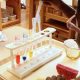 Best Birds Nest Montessori School & Daycare | What Is Montessori? A Complete Guide to the Montessori Education Method