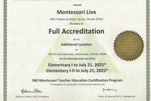 Get Your Montessori Education Certification Now What Is Montessori? A Complete Guide to the Montessori Education Method Get Your Montessori Education Certification Now | What Is Montessori? A Complete Guide to the Montessori Education Method