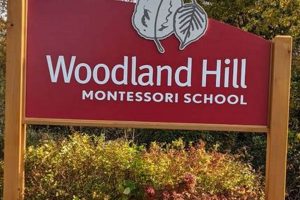 Best Woodland Hills Montessori Schools & Programs What Is Montessori? A Complete Guide to the Montessori Education Method Best Woodland Hills Montessori Schools & Programs | What Is Montessori? A Complete Guide to the Montessori Education Method