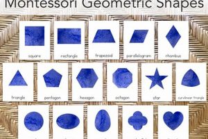 Learn Montessori Shapes: Geometry for Kids What Is Montessori? A Complete Guide to the Montessori Education Method Learn Montessori Shapes: Geometry for Kids | What Is Montessori? A Complete Guide to the Montessori Education Method