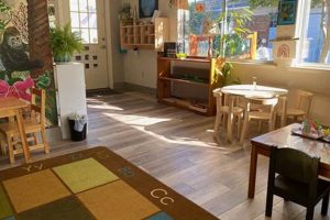 Best Rocklin Montessori Schools & Programs What Is Montessori? A Complete Guide to the Montessori Education Method Best Rocklin Montessori Schools & Programs | What Is Montessori? A Complete Guide to the Montessori Education Method