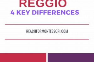 Preschool Showdown: Reggio vs Montessori What Is Montessori? A Complete Guide to the Montessori Education Method Preschool Showdown: Reggio vs Montessori | What Is Montessori? A Complete Guide to the Montessori Education Method