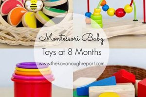 Best Montessori Toys for 8-Month-Olds' Development What Is Montessori? A Complete Guide to the Montessori Education Method Best Montessori Toys for 8-Month-Olds' Development | What Is Montessori? A Complete Guide to the Montessori Education Method