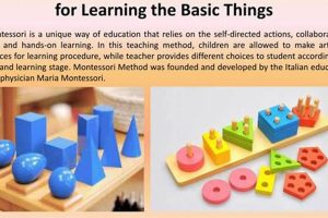 Best Montessori Learning Tools & Materials Guide What Is Montessori? A Complete Guide to the Montessori Education Method Best Montessori Learning Tools & Materials Guide | What Is Montessori? A Complete Guide to the Montessori Education Method