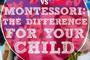 Best Daycare vs Montessori: 2024 Guide What Is Montessori? A Complete Guide to the Montessori Education Method Best Daycare vs Montessori: 2024 Guide | What Is Montessori? A Complete Guide to the Montessori Education Method